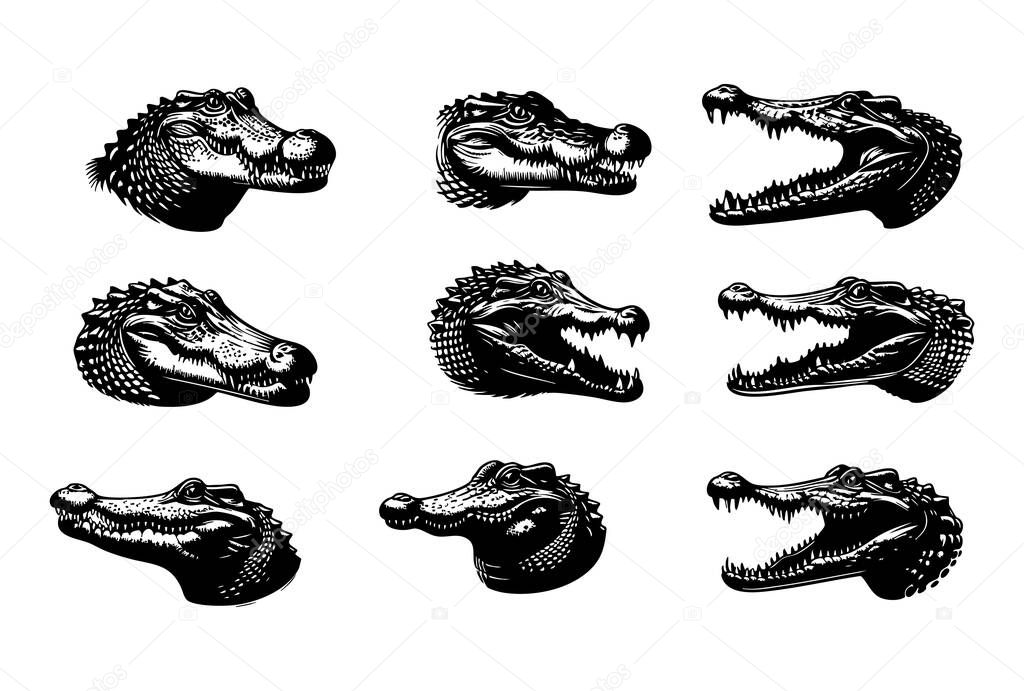 Crocodile Head Silhouette Vector Illustration