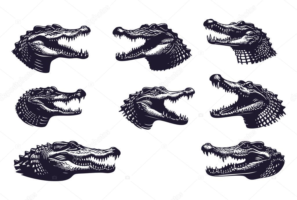 Crocodile Animal Vector for Eco Projects