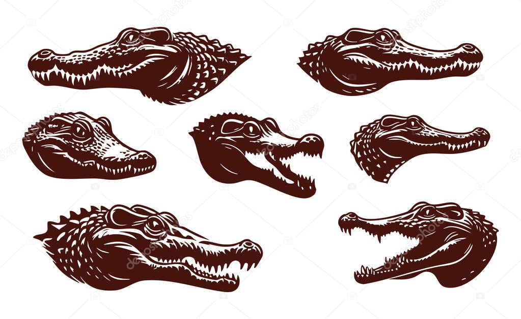 Wild Crocodile Silhouette Vector for Branding