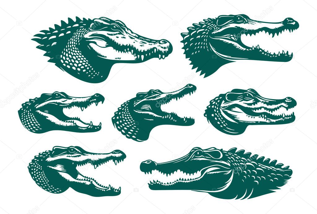 Minimalist Crocodile Silhouette on Clean Background