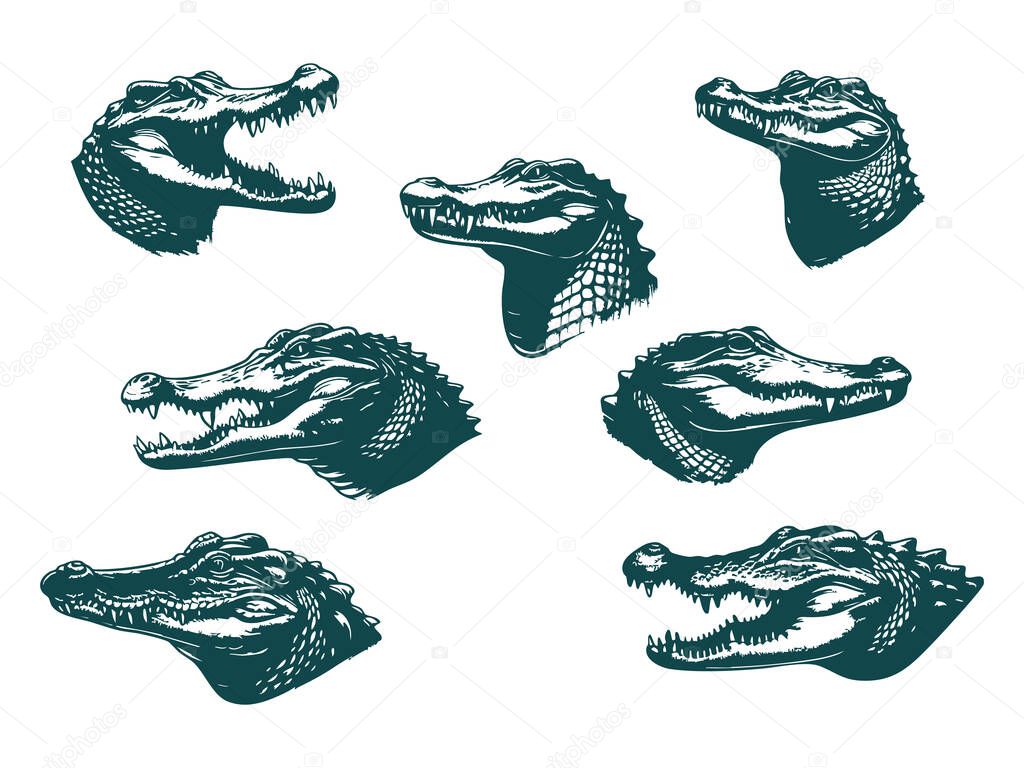Crocodile Profile Silhouette Vector Art