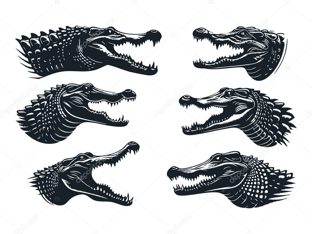 Detailed Crocodile Silhouette for T-shirt Design