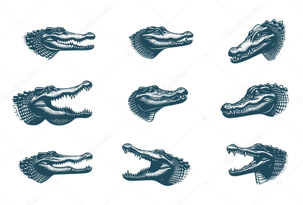 Simple Crocodile Silhouette for Logo Design