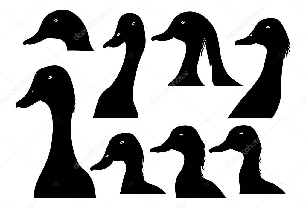 Duck Vector Silhouette Isolated on White Background