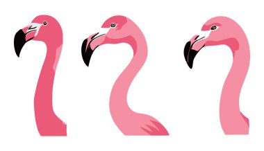Dekoratif Flamingo Vektör Siluet Dosyası