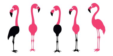 Minimalist Flamingo Vektör Silueti Çizimi