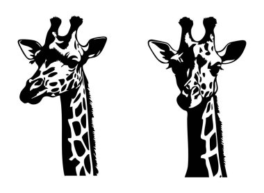 Beyaz Arkaplanda Zürafa Vektör Silueti, Basit Zürafa Silueti Vektör Tasarımı, Beyaz Zürafa Vektör Görüntüsü, Zürafa Profil Vektörü Clipart
