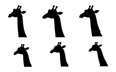 Beyaz Arkaplanda Zürafa Vektör Silueti, Basit Zürafa Silueti Vektör Tasarımı, Beyaz Zürafa Vektör Görüntüsü, Zürafa Profil Vektörü Clipart