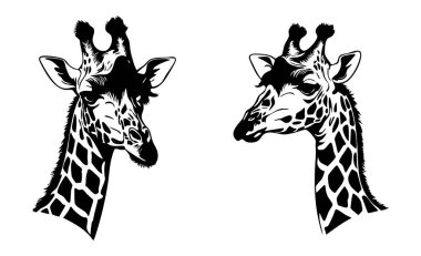 Beyaz Arkaplanda Zürafa Vektör Silueti, Basit Zürafa Silueti Vektör Tasarımı, Beyaz Zürafa Vektör Görüntüsü, Zürafa Profil Vektörü Clipart