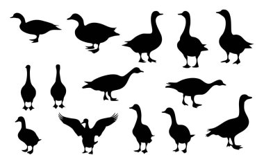 Kaz Vektörü Silueti Beyaz Arkaplanda izole edildi. Simple Goose Siluet Vektör Tasarımı. Kaz Uçan Vektör Siluet Çizimi