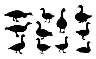 Kaz Vektörü Silueti Beyaz Arkaplanda izole edildi. Simple Goose Siluet Vektör Tasarımı. Kaz Uçan Vektör Siluet Çizimi