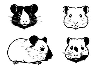 Gerçekçi Hamster Siluet Vektör Tasarımı