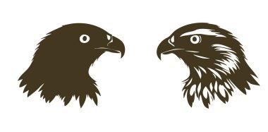 İki tüylü siyah kuş..