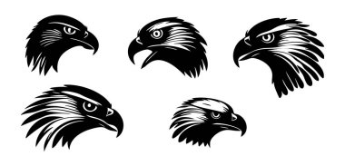 Siyah kartal seti. vektör illüstrasyonu