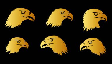 Altın kartal logo şablonu