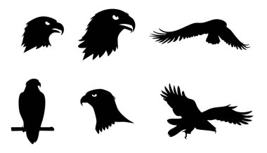 Siyah ve beyaz kartal. vektör illüstrasyonu