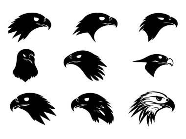 Siyah kartal seti, vektör illüstrasyonu