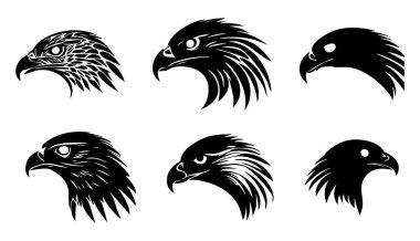 Kuş vektör çizimi kümesi