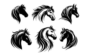 At kafası çizimleri, at vektörü.