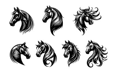 At kafası çizimleri, at vektörü.