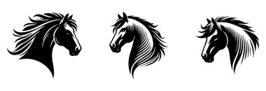 At kafası çizimleri, at vektörü.