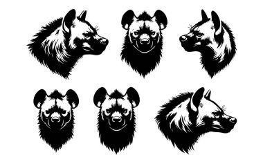 Vahşi Yaşam Temaları için Sırtlan Baş Vektörü