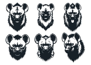 Afrikalı Yırtıcı Sırtlan Baş Grafiği