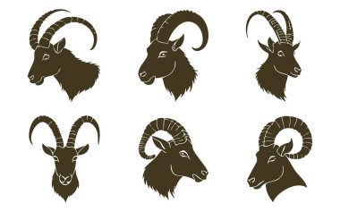 Beyaz Arkaplanda Ibex Baş Vektör Silueti