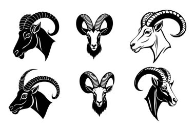 Beyaz Arkaplanda Ibex Baş Vektör Silueti