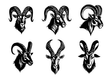 Beyaz Arkaplanda Ibex Baş Vektör Silueti