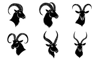 Beyaz Arkaplanda Ibex Baş Vektör Silueti