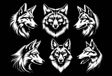  Beyaz Arkaplanda Çakal Baş Vekil Silueti, Vahşi Çakal Yüzlü Siyah Siluet, Çakal Baş Vektör Vahşi Yaşam Tasarımı