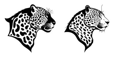 Beyaz Arkaplanda Jaguar Baş Vekil Silueti, Vahşi Jaguar Yüzlü Siyah Vektör İllüstrasyonu, İzole edilmiş Jaguar Baş Silueti Çizimi