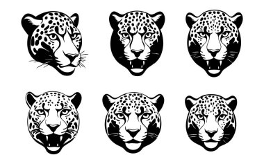 Beyaz Arkaplanda Jaguar Baş Vekil Silueti, Vahşi Jaguar Yüzlü Siyah Vektör İllüstrasyonu, İzole edilmiş Jaguar Baş Silueti Çizimi