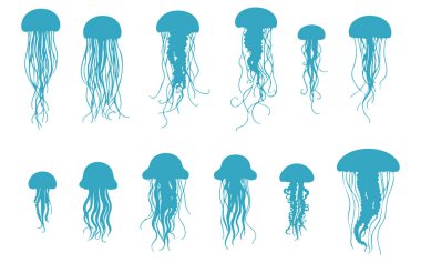 Denizanası Vektör Silueti, Beyaz Deniz Yaratığı Siyah Vektör, Okyanus Hayvanı Silueti Çizimi