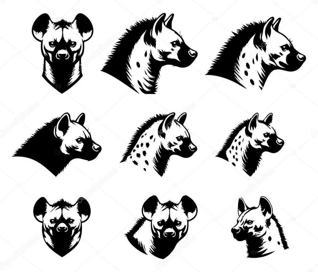 Spotted Hyena Face Vector Isolated