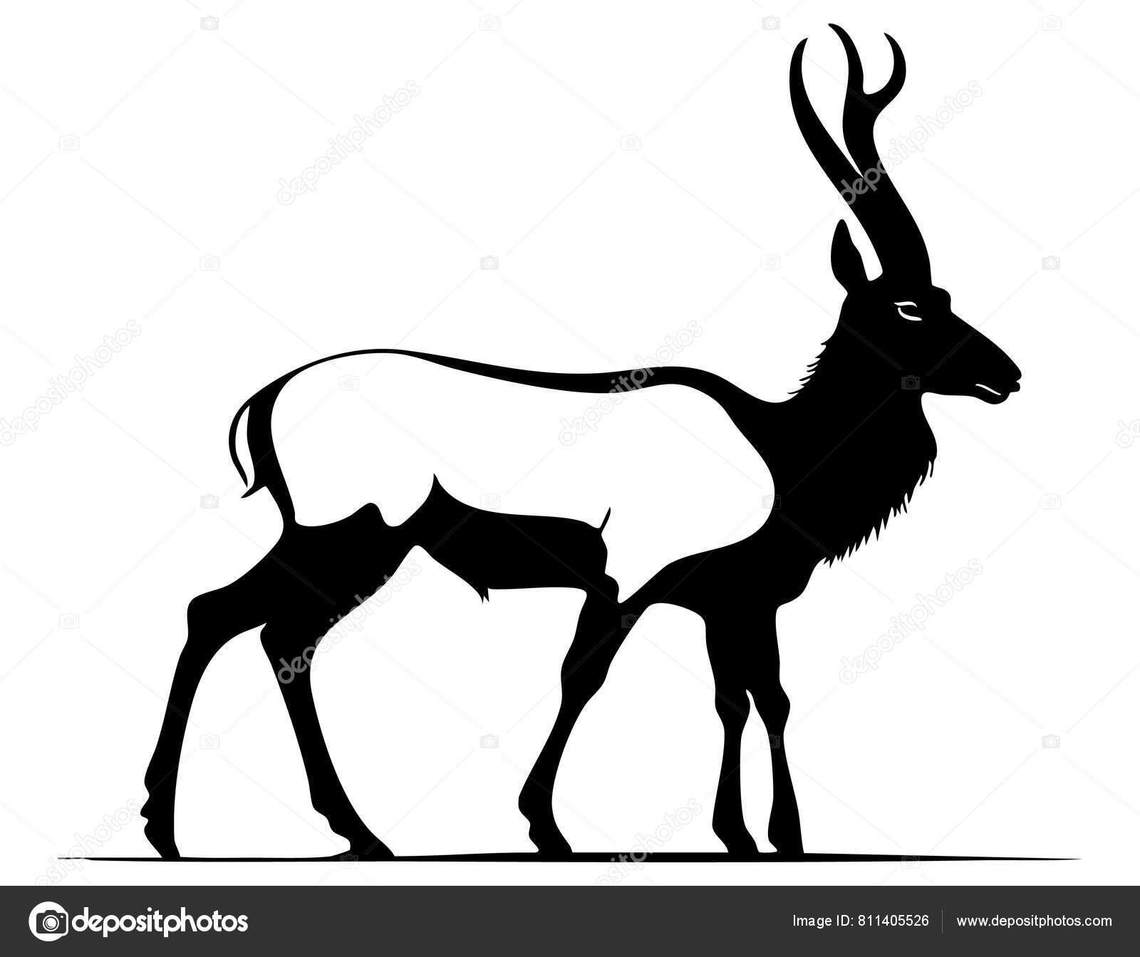 Pronghorn antelope Vector Images | DepositPhotos, image size:1600x1344