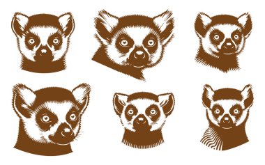 Beyaz Arkaplanda Lemur Baş Vektör Silueti, İzole edilmiş Lemur Yüzü Siyah Simge Vektörü, Lemur Hayvan Başı Görünümü