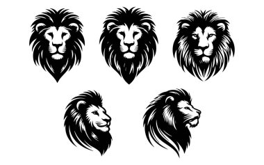 Aslan baş logo. Vektör çizim.