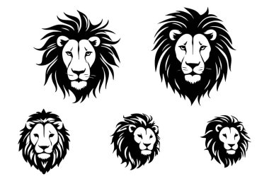 Aslan başı vektör çizimi