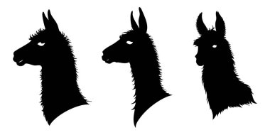 Vahşi Yaşam ve Hayvan Tasarımları İçin Lama Siluet Surat