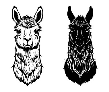 Modern Vektör Biçiminde Llama Baş Hattı