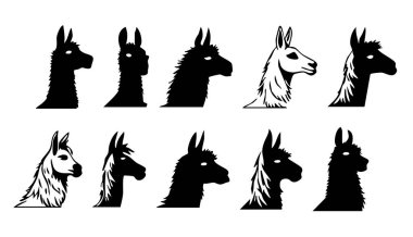 Çeşitli Kullanımlar için Temiz Lama Yüz Vektör Tasarımı