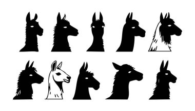 Grafiksel Projeler için Güney Amerika Lama Baş Silueti