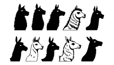 Vektör Sanatında Siyah ve Beyaz Lama Baş Silueti