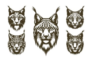 Vektör Biçiminde Sanatsal Vaşak Suratı Silueti