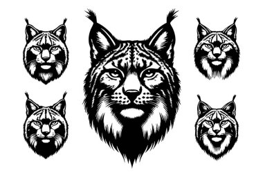 Logolar için Basit Vaşak Baş Vektör Silueti