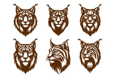 Hayvan temalı projeler için Vahşi Vaşak Vektör İllüstrasyonu