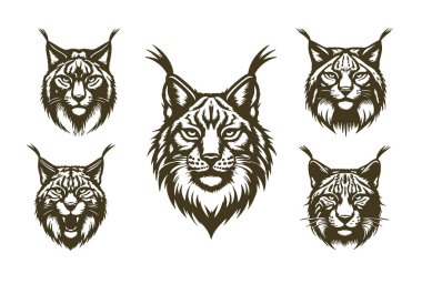 Siyah ve Beyaz Vaşak Baş Siluet Vektör İllüzyonu