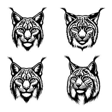 Vektör Sanatında Vahşi Kedi Başı Silueti